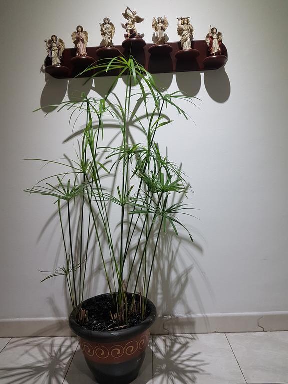 Tu Hogar Cerca A La Zona T Apartment Bogota Bagian luar foto